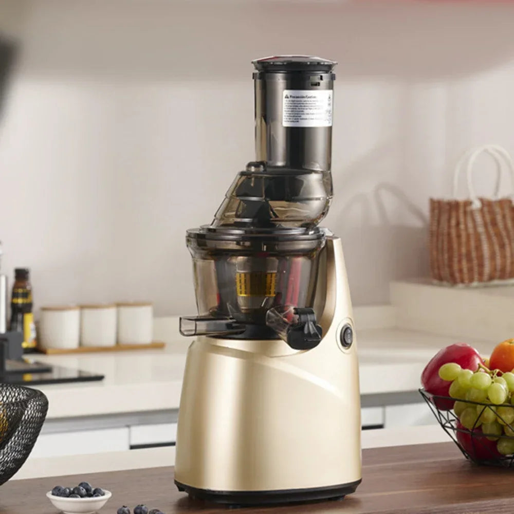 BlendSip ColdPress 300 Juicer