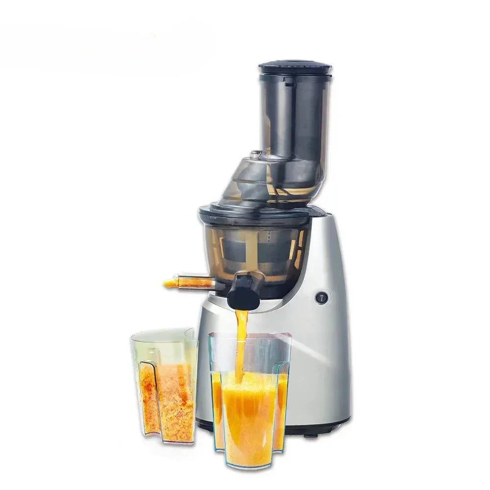 BlendSip ColdPress 300 Juicer