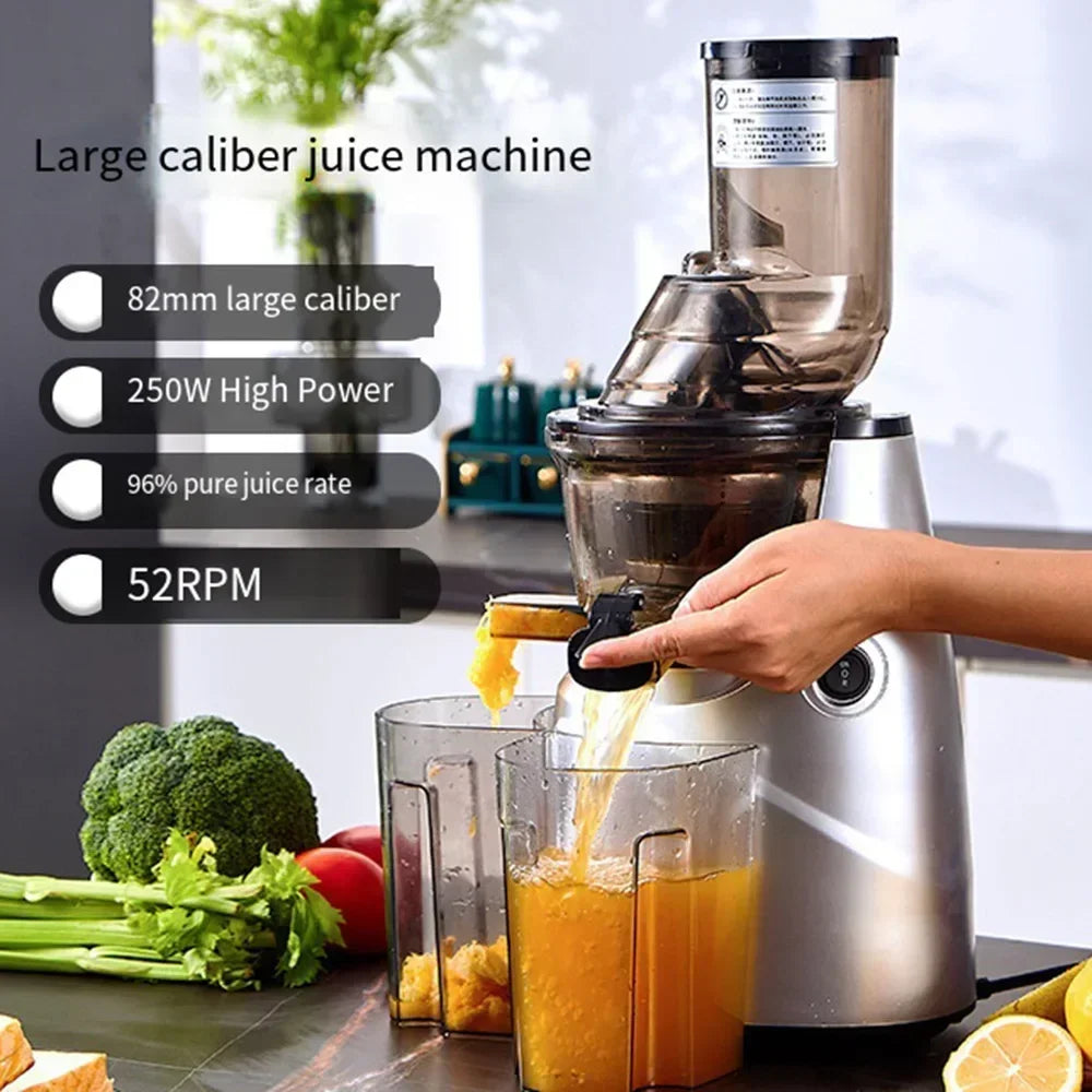 BlendSip ColdPress 300 Juicer