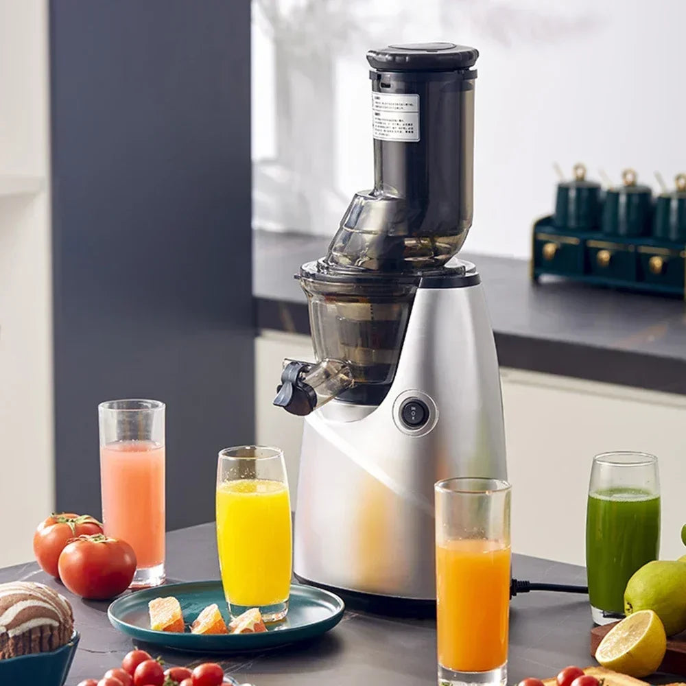 BlendSip ColdPress 300 Juicer