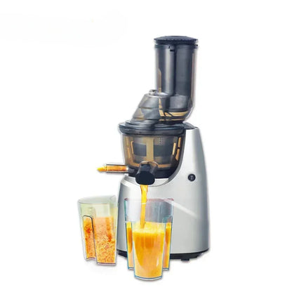 BlendSip ColdPress 300 Juicer