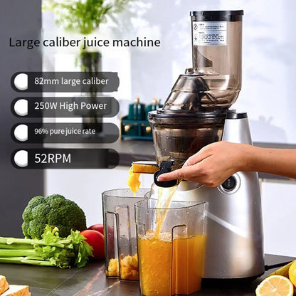 BlendSip ColdPress 300 Juicer